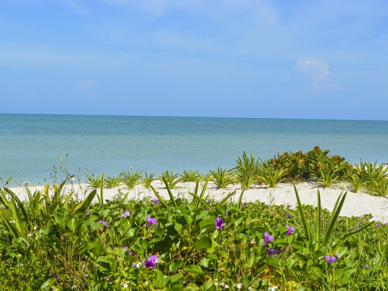 Celestún Beach