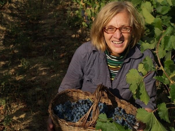 Grapes picking