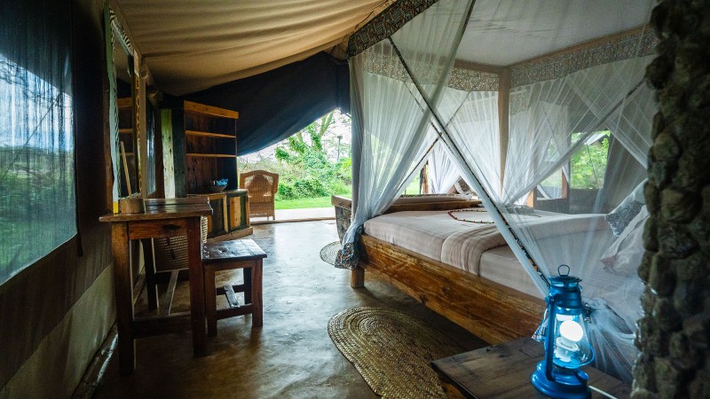 Lake Manyara Safari Comfort