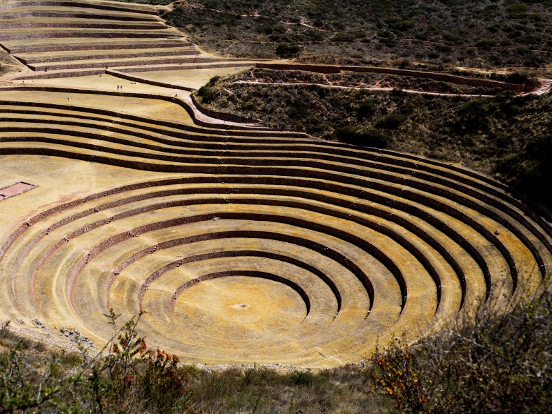 Moray