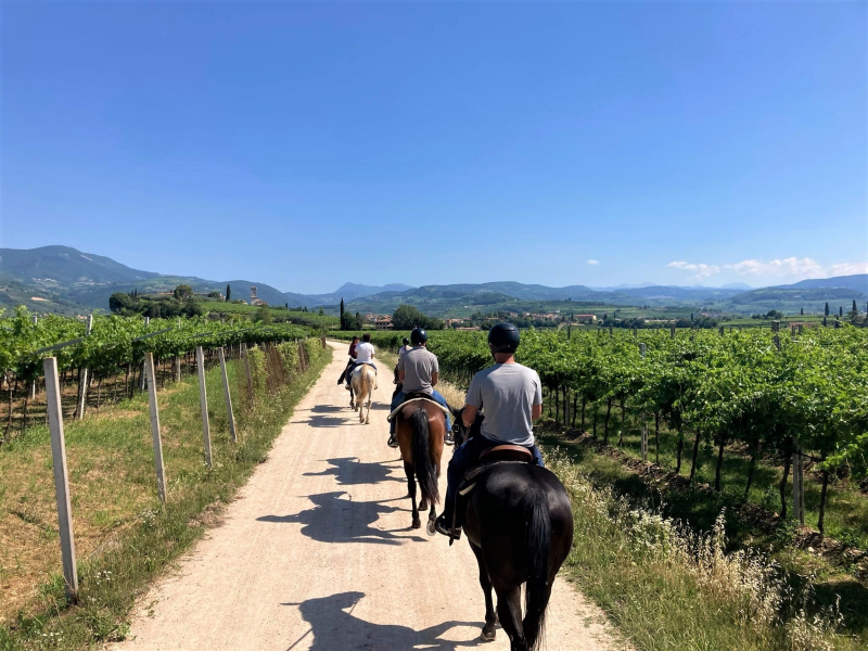 VALPOLICELLA ON HORSE