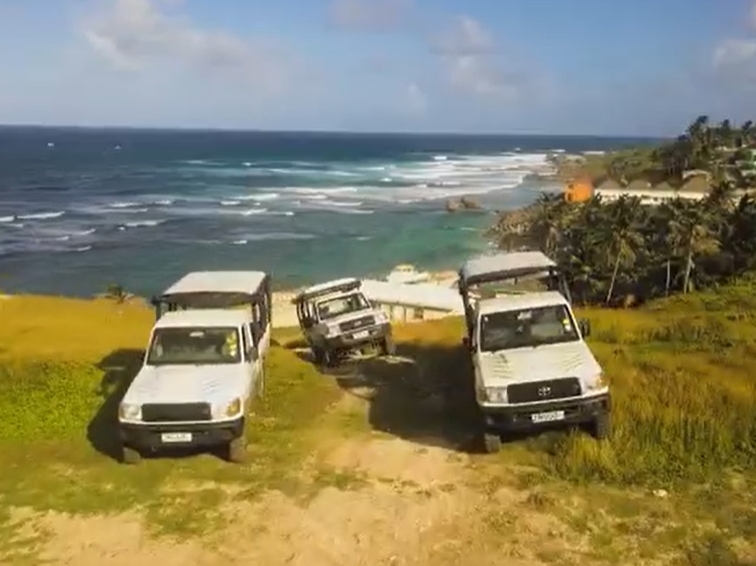 Island Safari