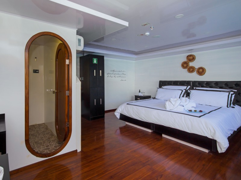 MC PETREL Suite