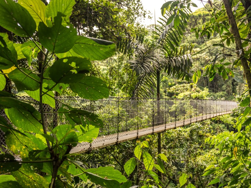 Costa Rica - Monteverde