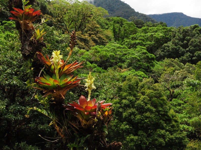 Mount Totumas - Ausblick