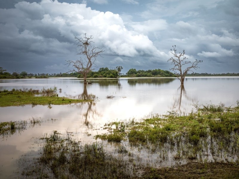 Serene reflecting nature's beauty 