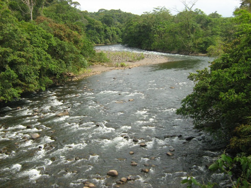 Rio Sarapiqui