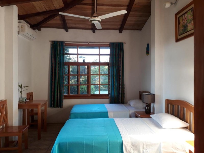 Zweibettzimmer in Banana Lodge