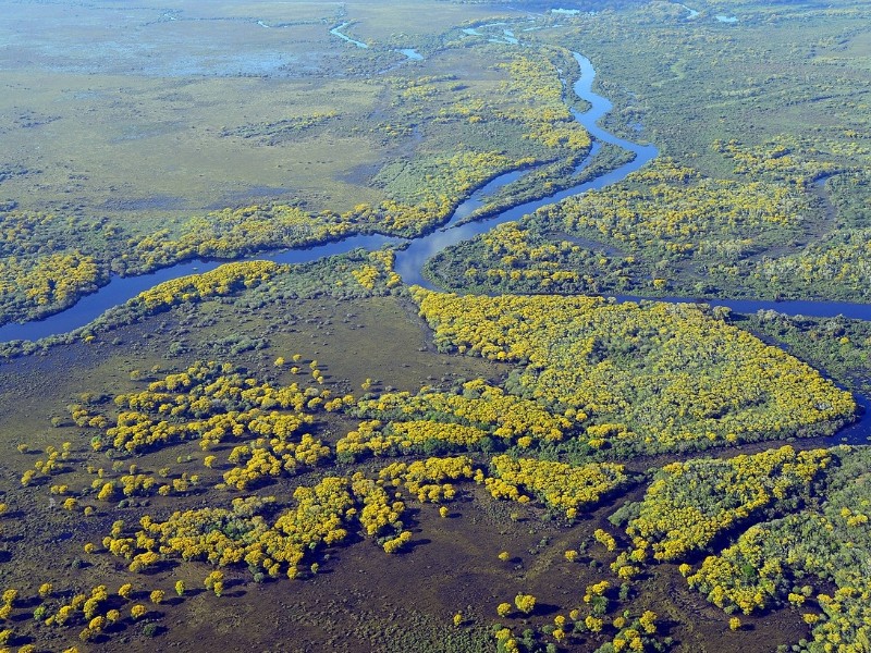 Pantanal Wetlands