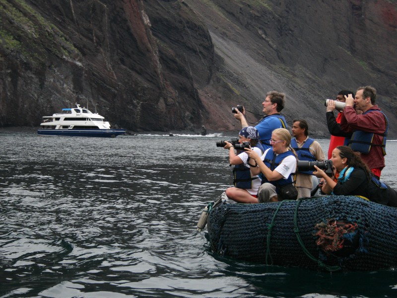Den Tieren auf der Spur