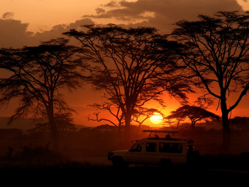 Safari-Fahrzeug - Serengeti - Tansania