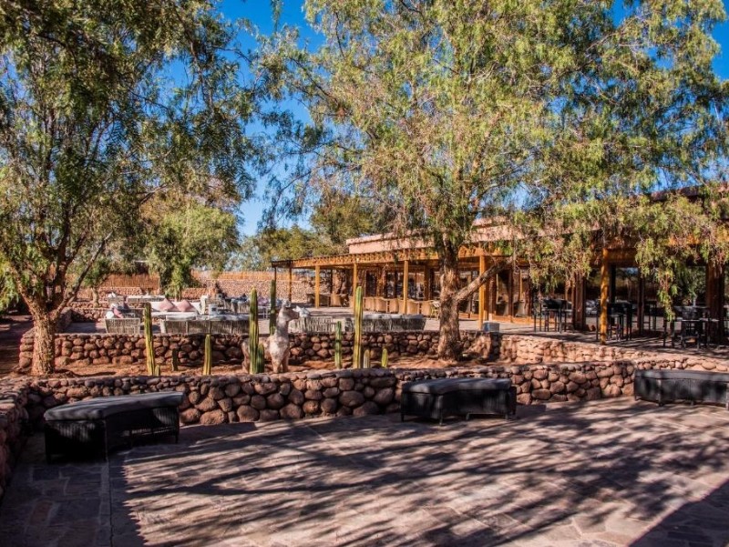 Cumbres Atacama - Garten