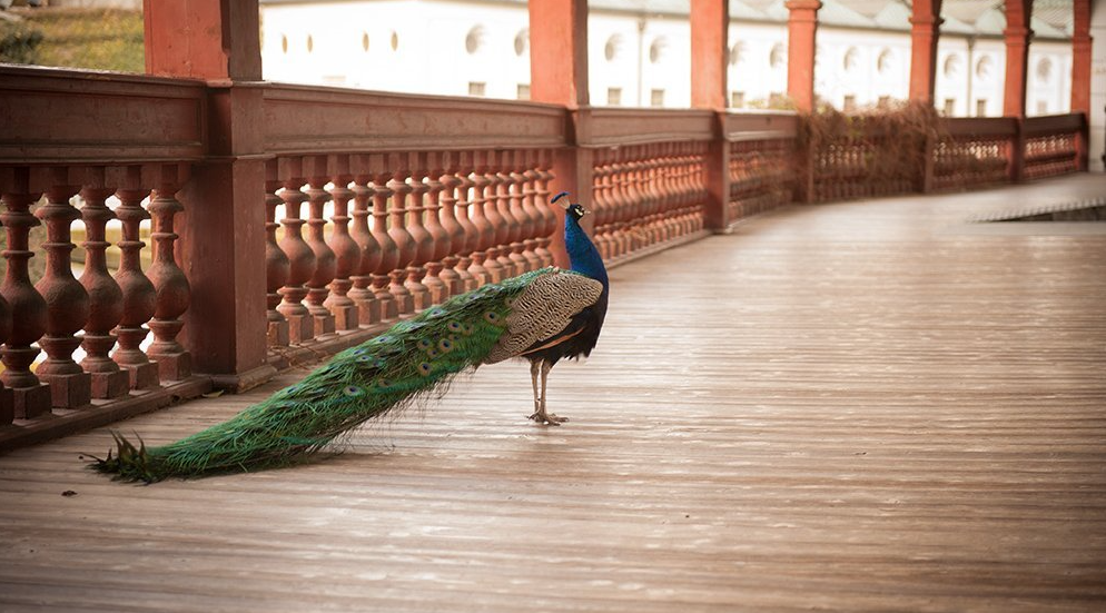 Schloss Ambras Innsbruck