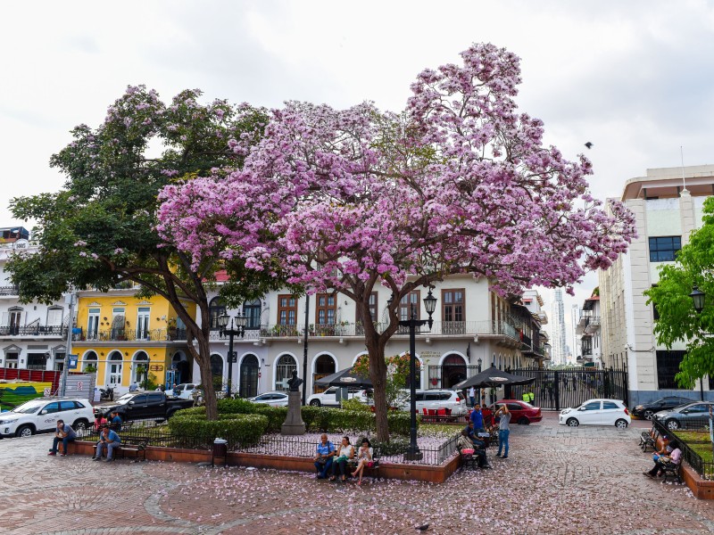 Casco Viejo - Panama City