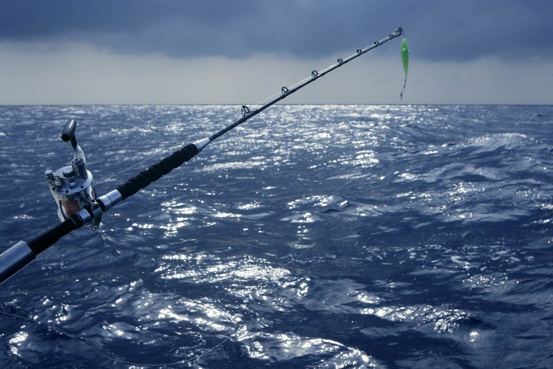  Deep Sea Game Fishing