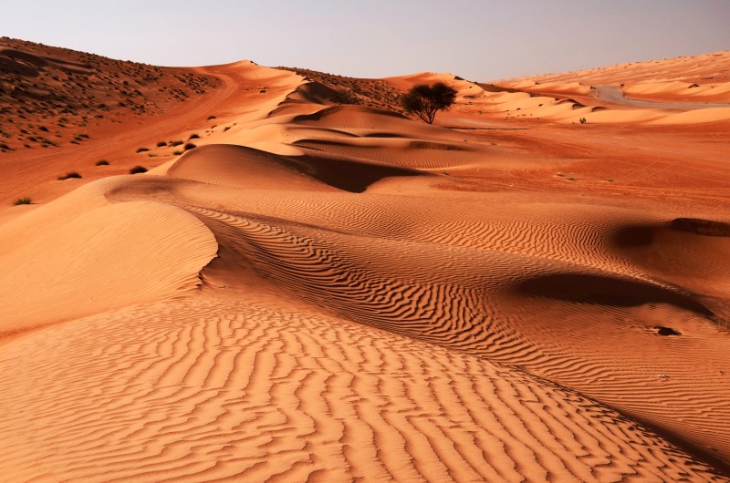 Oman - Wahiba Sands 2
