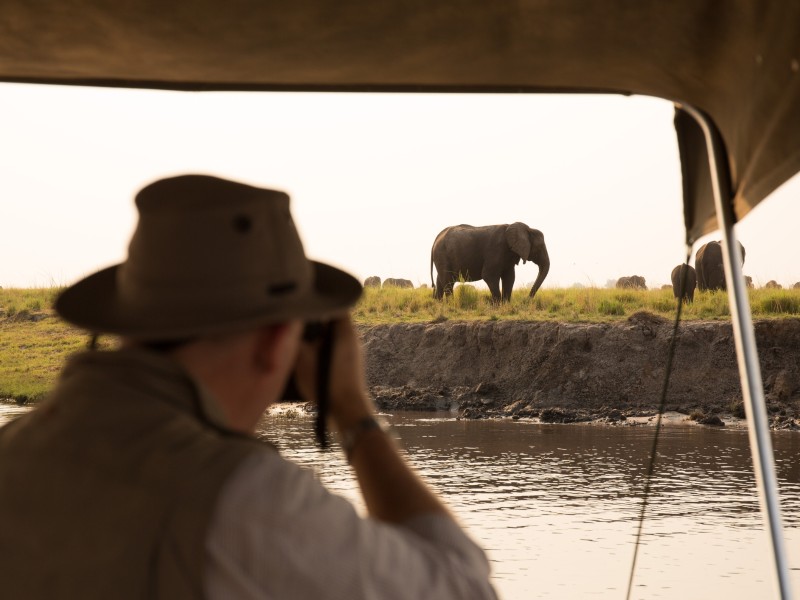 Chobe-Fluss - Chobe NP - Botswana