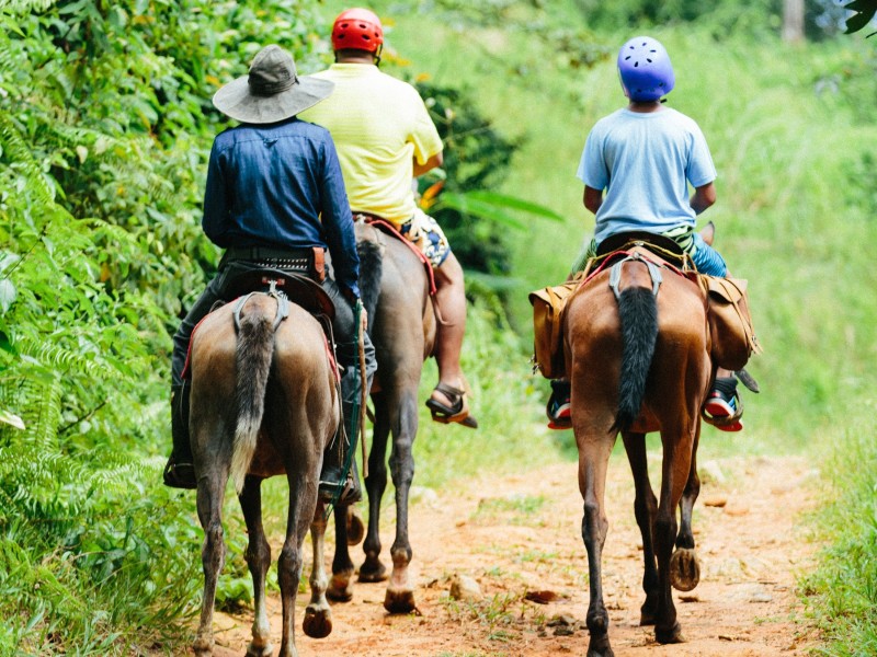 Reittour - Manuel Antonio