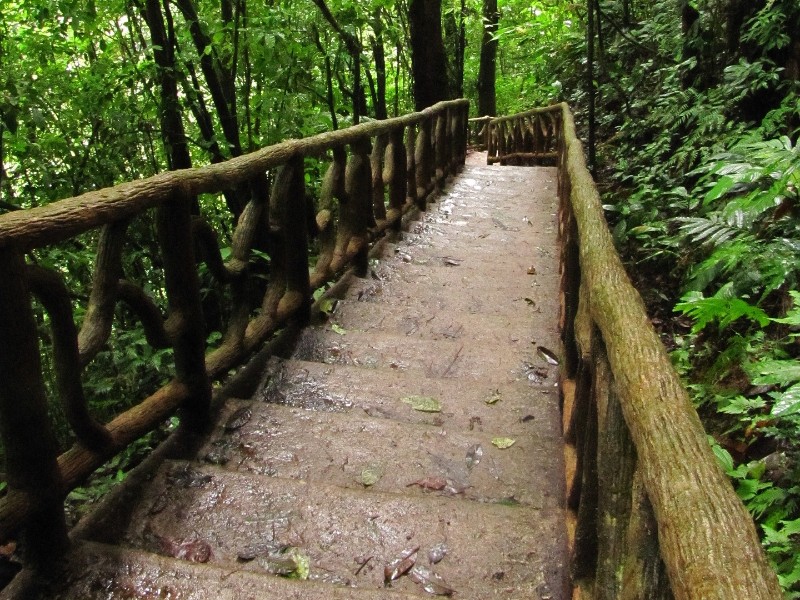 Eco Stairs