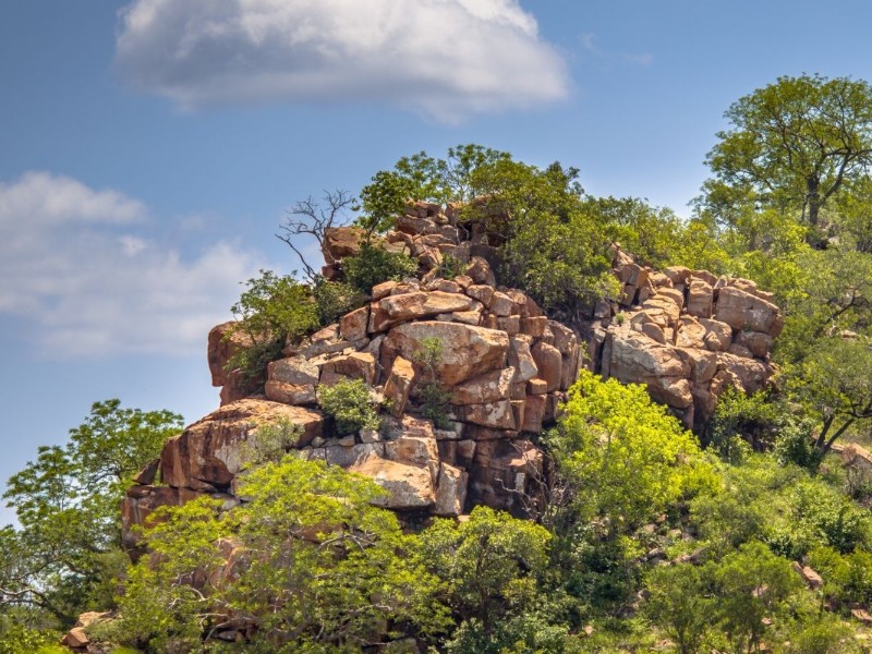 South Africa - Phalaborwa
