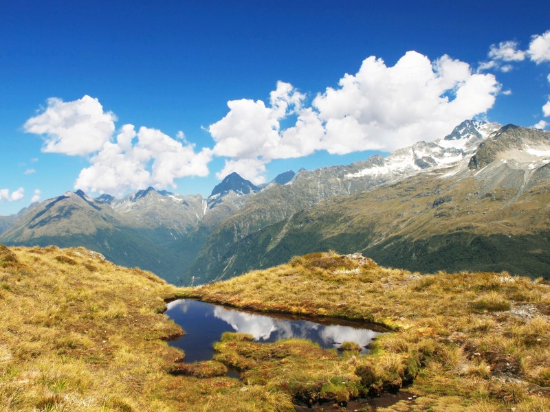 Routbourne Track - Neuseeland
