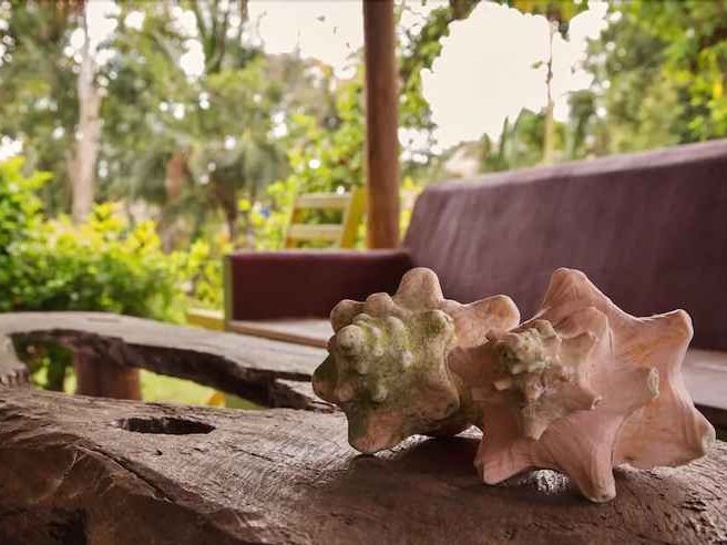 Villas Ecotucan - Lounge