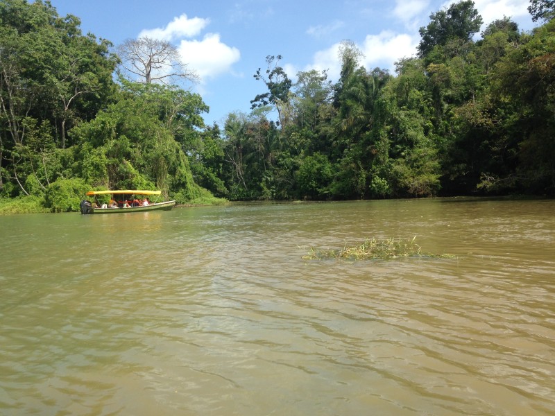 Gatún-See - Flora & Fauna