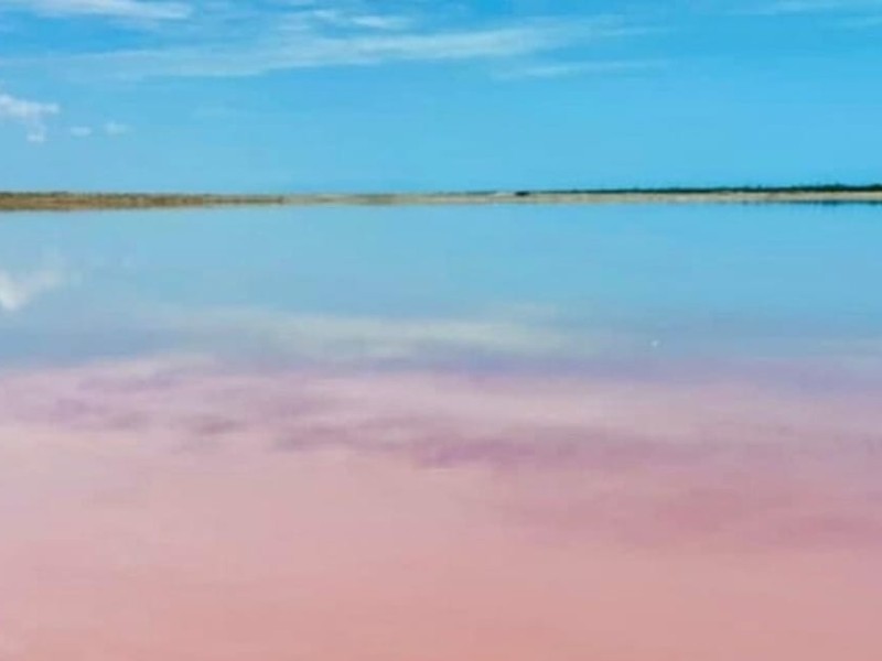 Las Coloradas