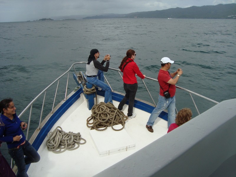 Samaná - Walbeobachtung