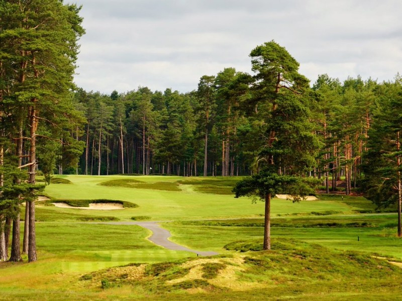 Swinley Forest Golf Club