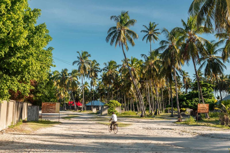 Zanzibar Experience