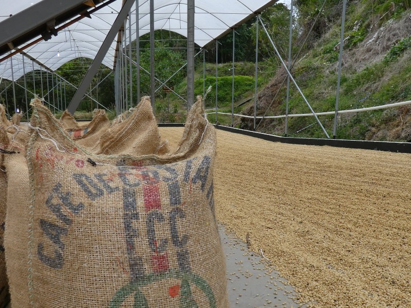 Kaffee aus Costa Rica