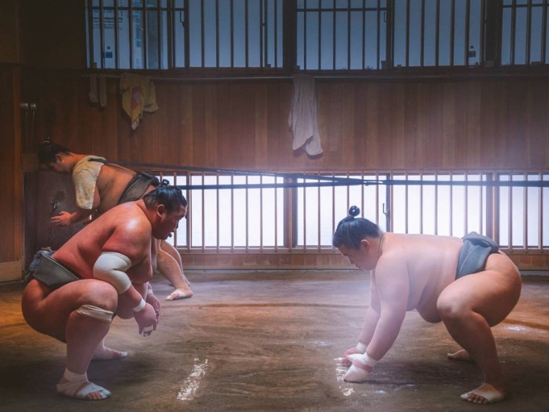Sumo