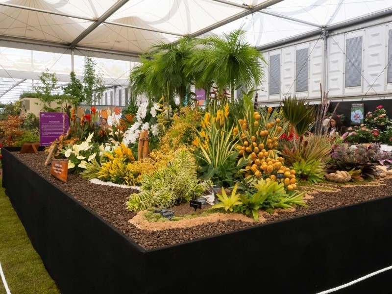Grenada Flower Show