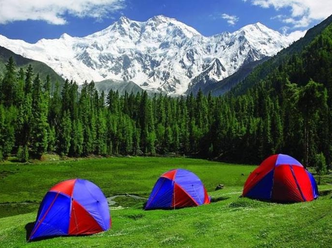 Fairy Meadows Cottages
