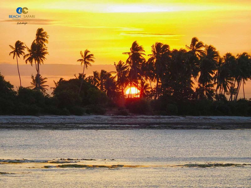 Sunset Dhow Cruise, Zanzibar