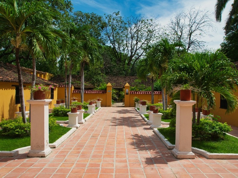 garden