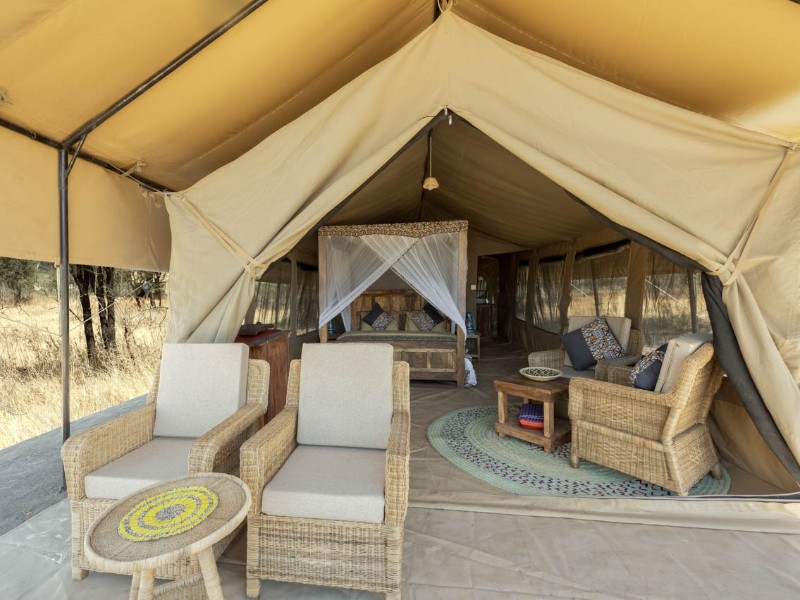 Safari Comfort in der South Serengeti