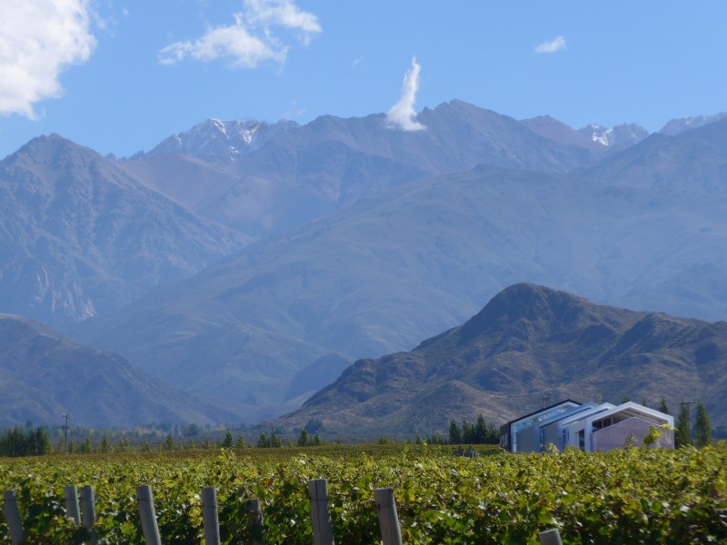 Casa de Uco - Weinberg