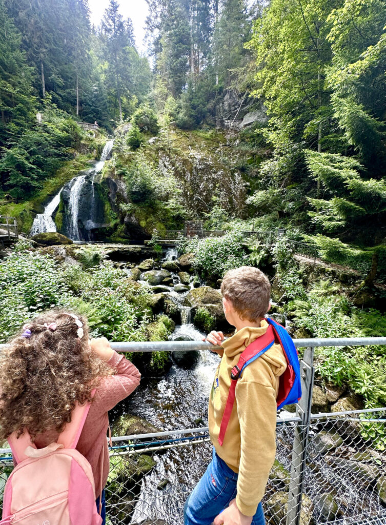 Triberg Waterfalls