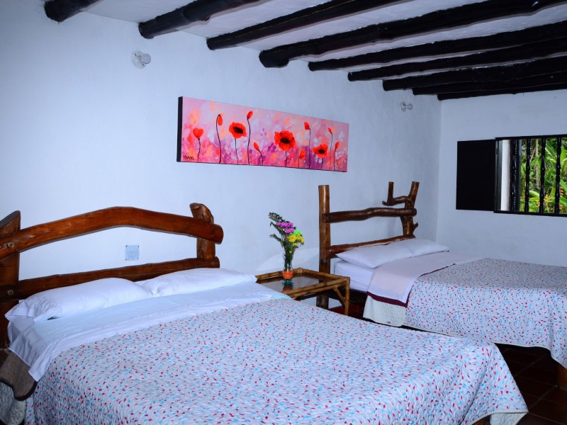 Hacienda Anacaona - Standard