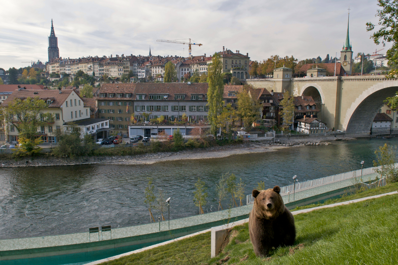 Bear Park