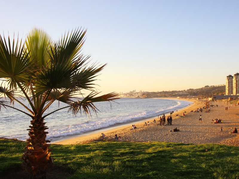 Viña del Mar