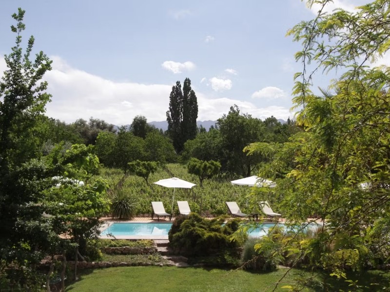 Finca Adalgisa - Garten