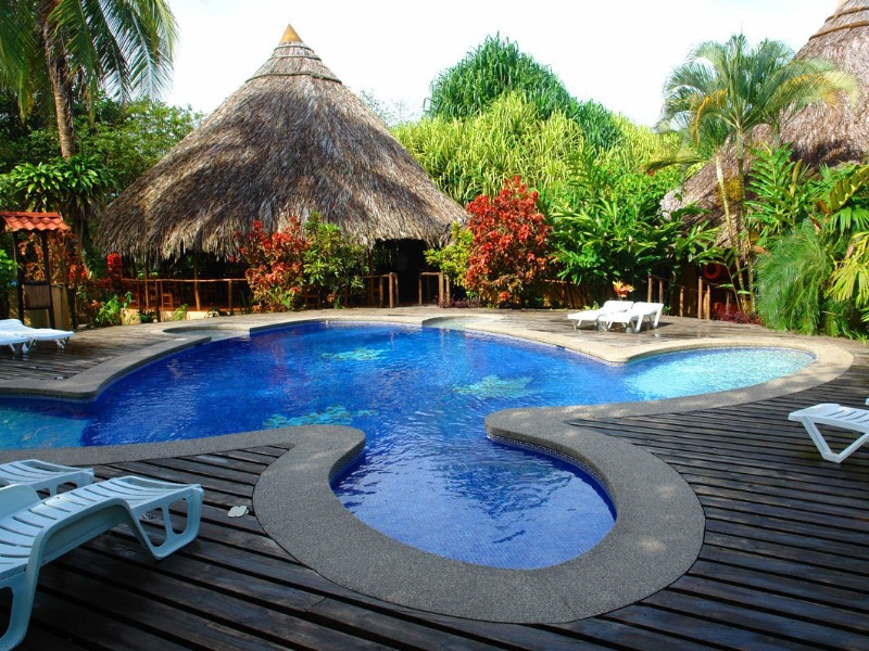 Turtle Beach Lodge - Pool