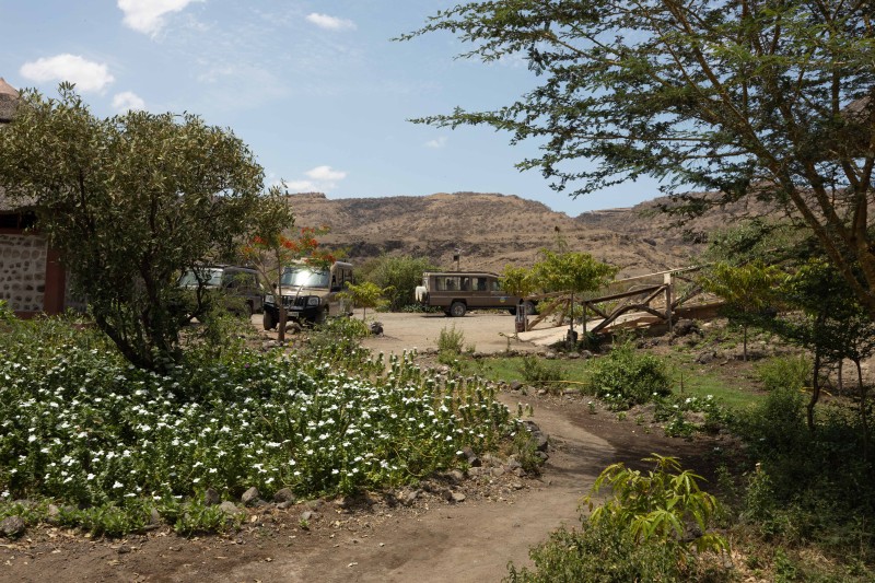 Garten – Africa Safari Lake Natron