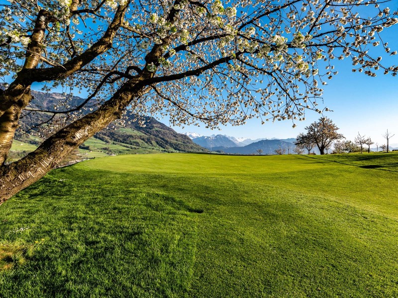 Golf Club Küssnacht am Rigi ©Golfclub