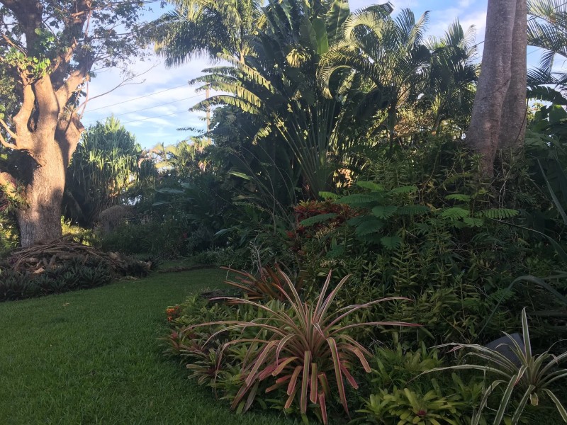 Grenada Garden Festival