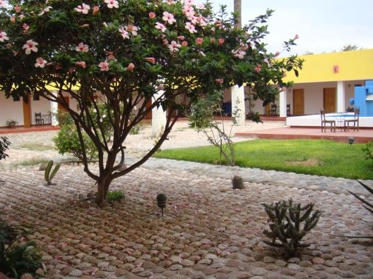 Halfway Inn - Garten