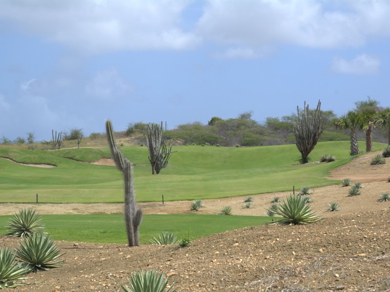 Blue Bay Beach Golf Resort Curaçao